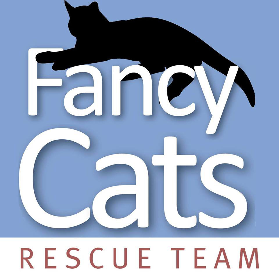 Organization's Logo