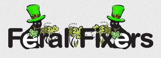 Organization's Logo