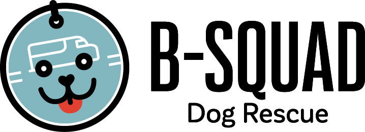 Organization's Logo
