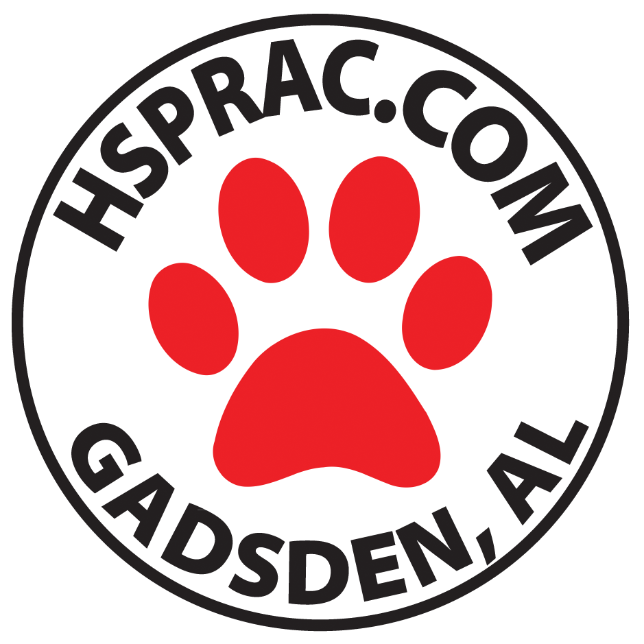 Organization's Logo