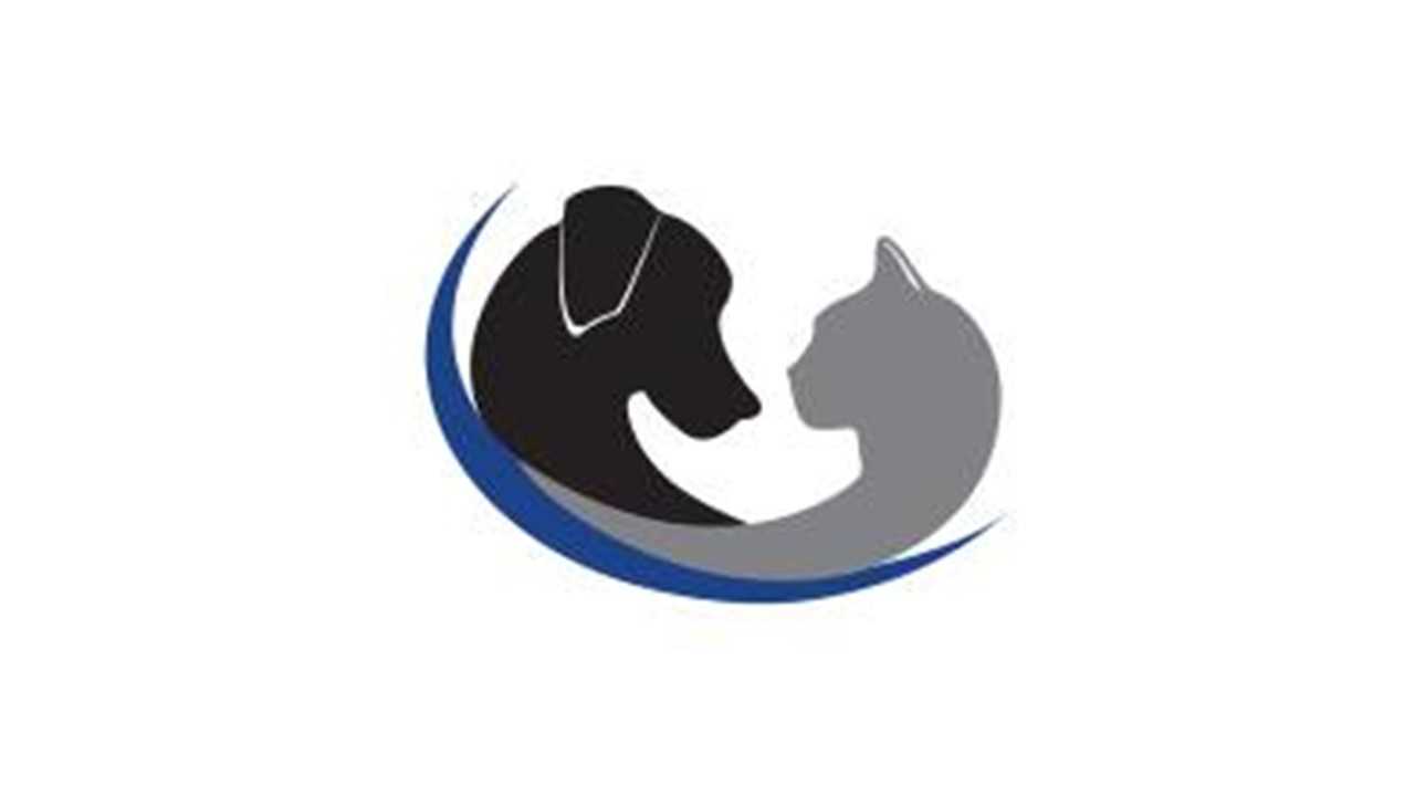 Organization's Logo