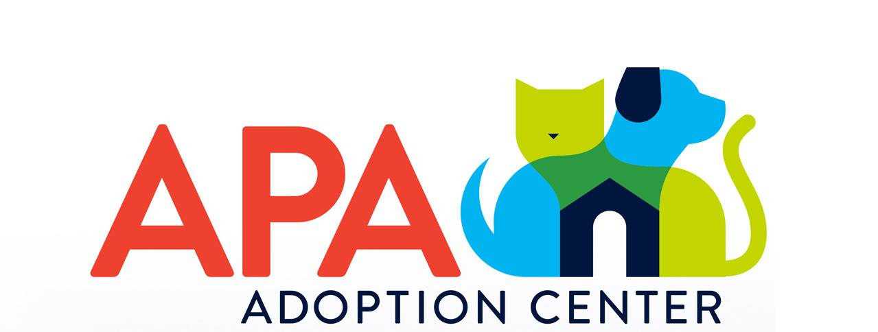 Organization's Logo