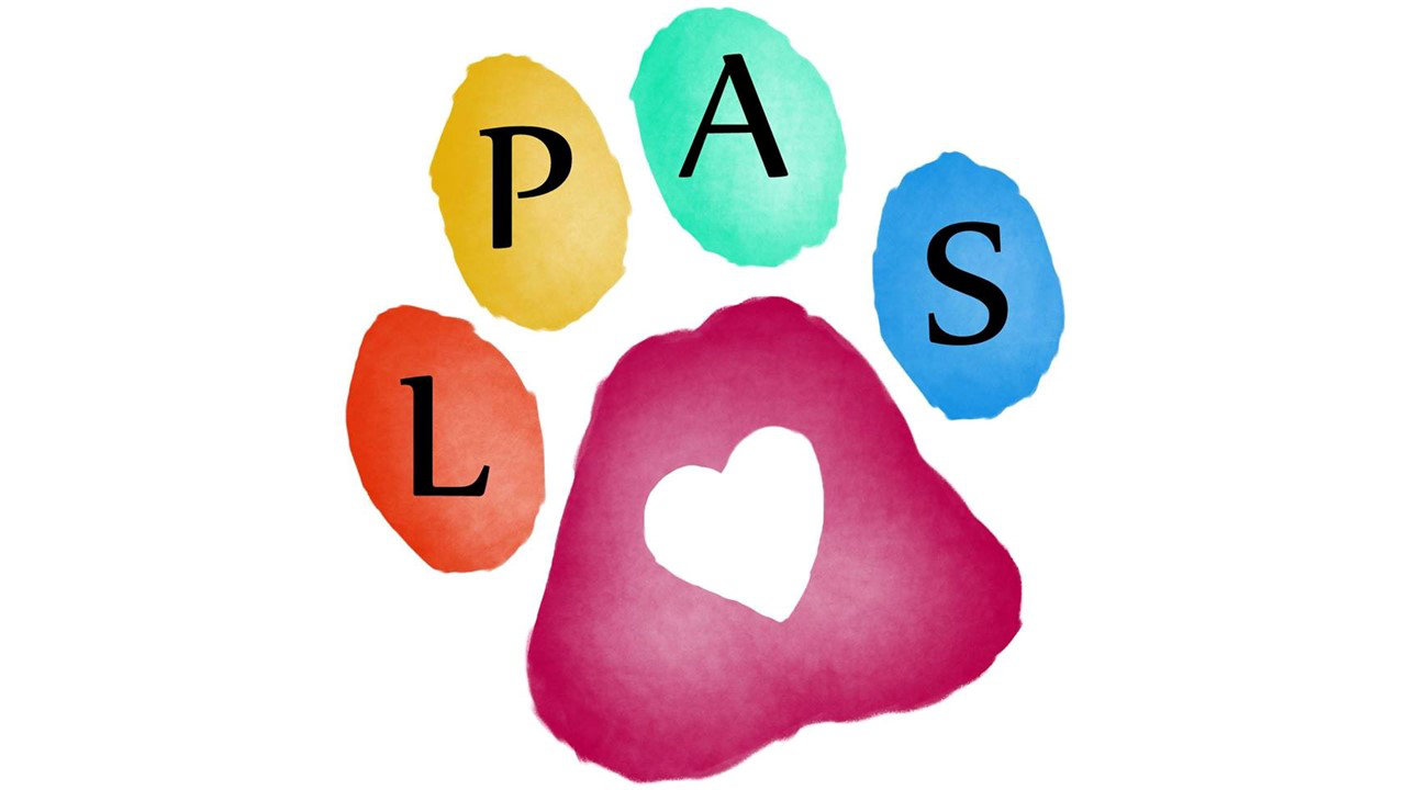 Organization's Logo