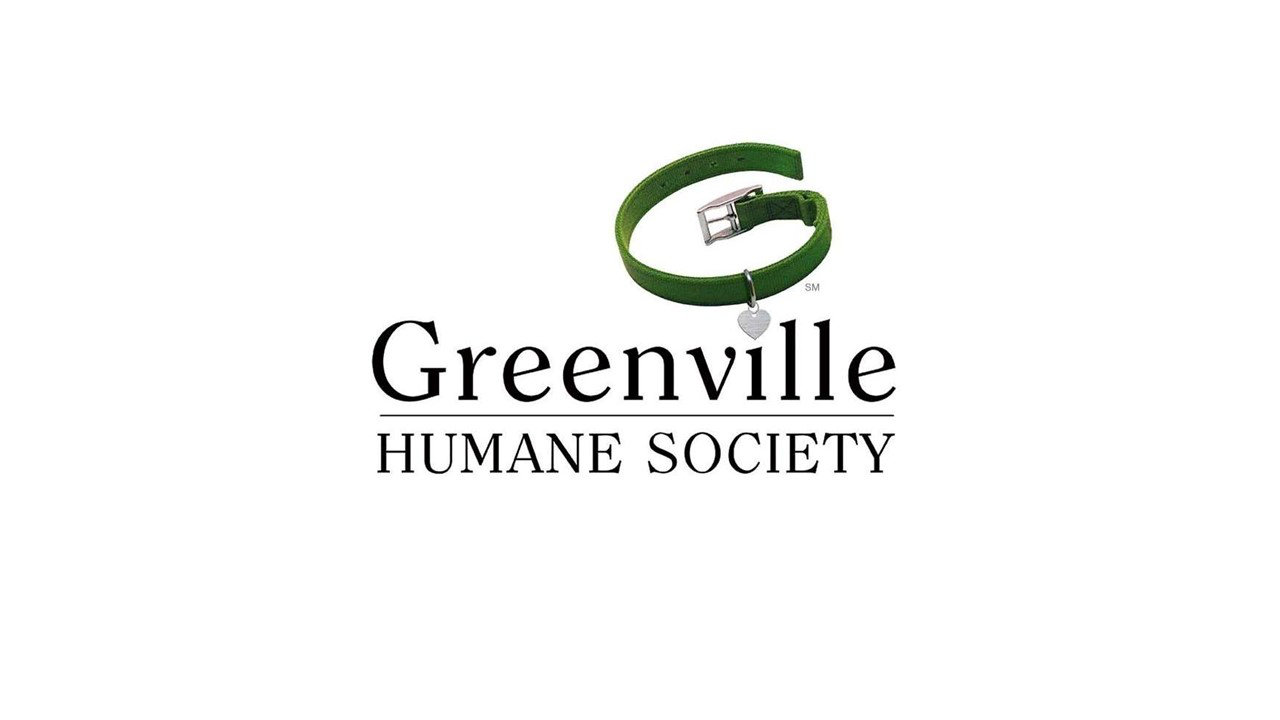 Organization's Logo