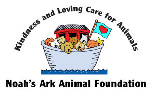 Organization's Logo