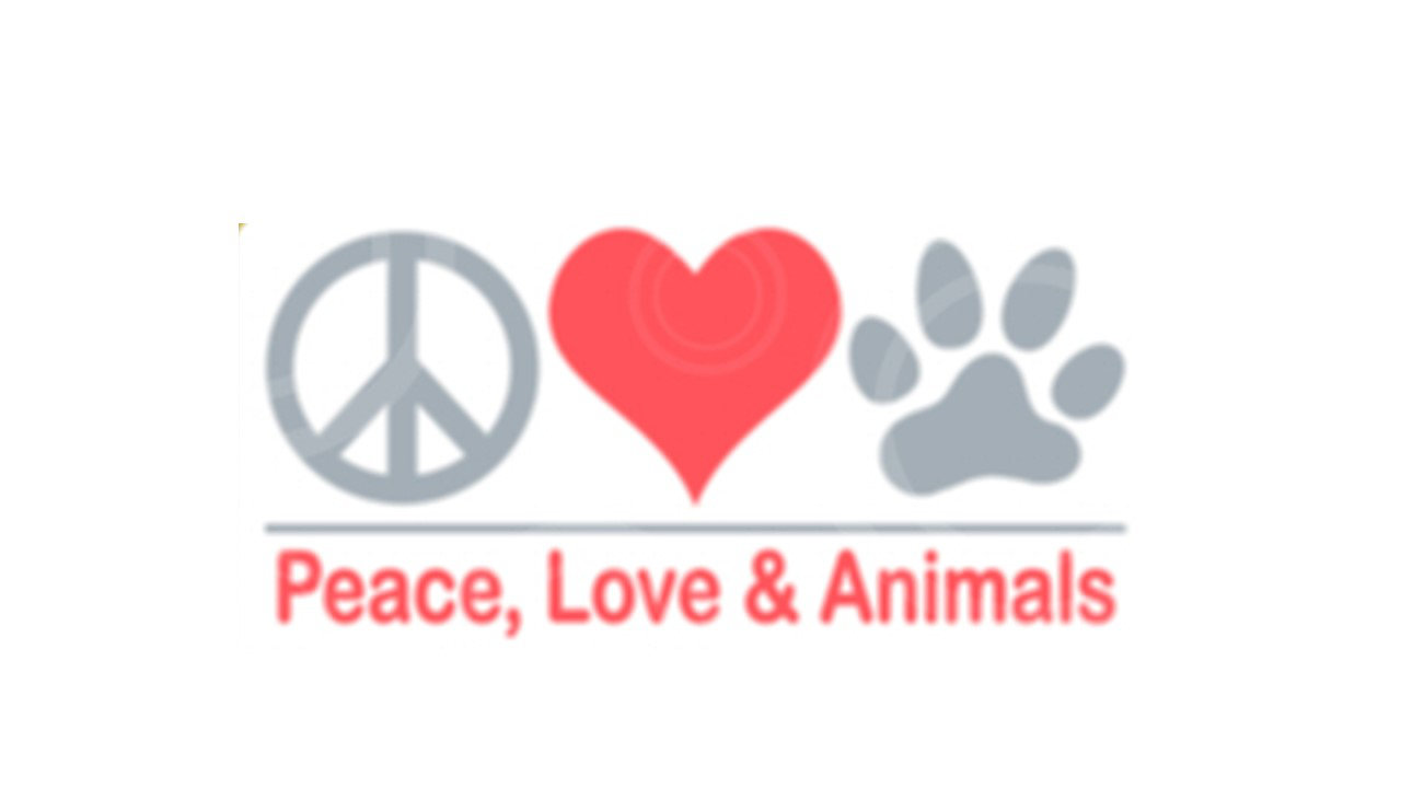 Organization's Logo