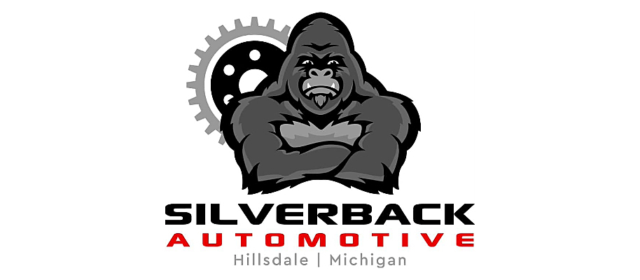 business image