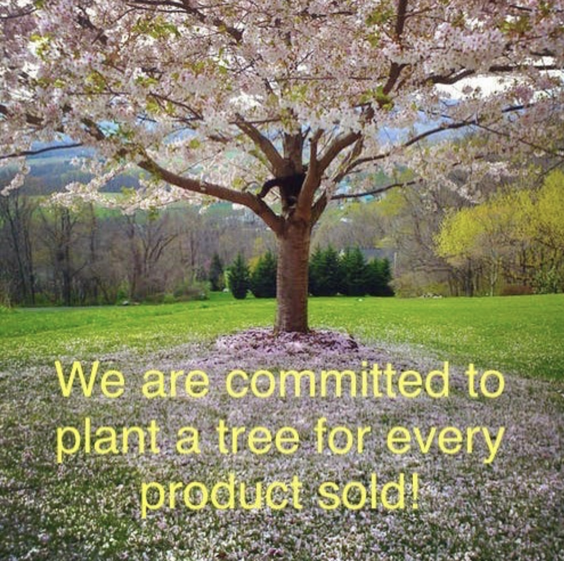 dr.-lily-ros-organics-plants-a-tree-beauty-eco-beauty
