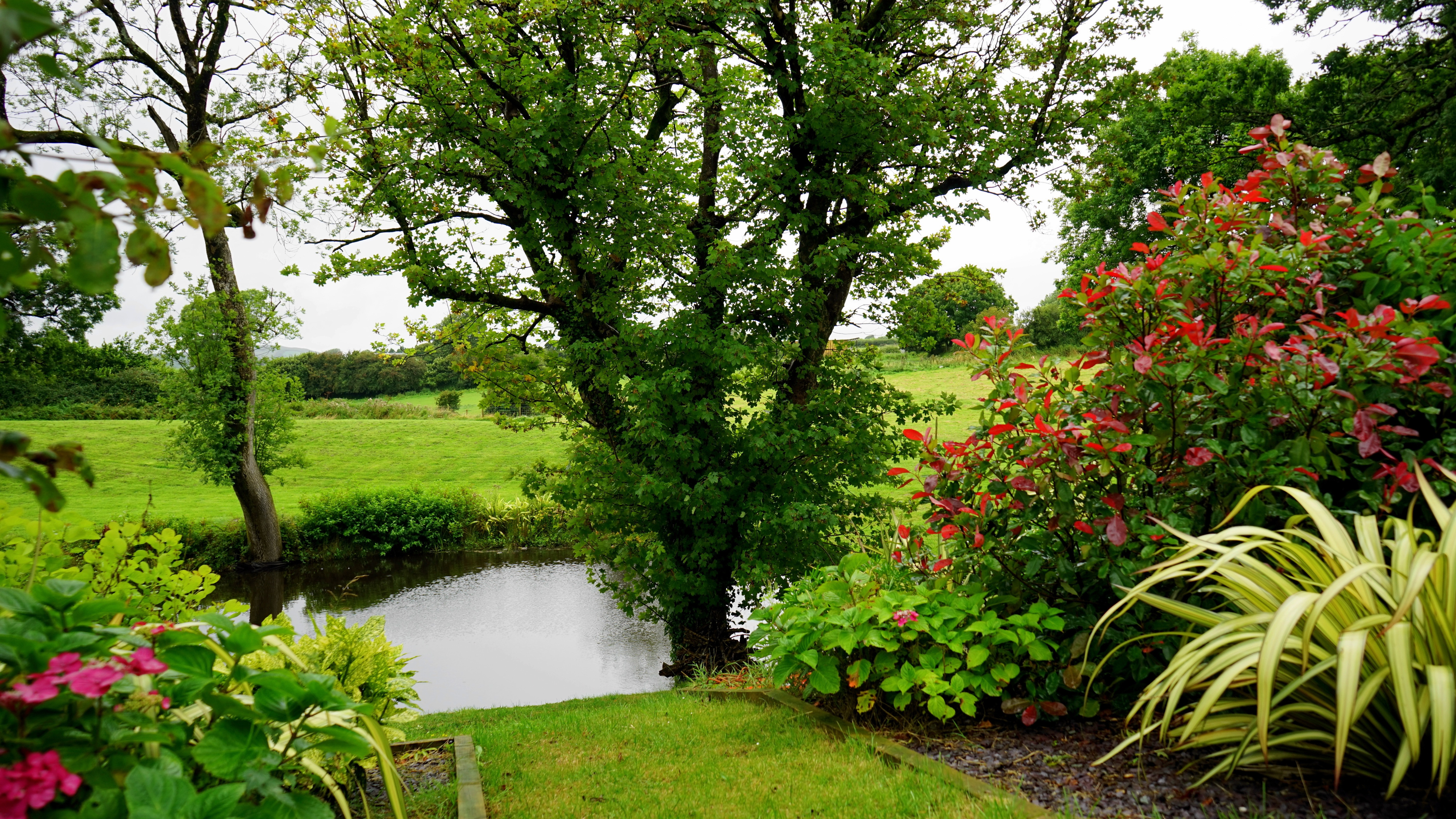 eco-garden-bloom-blooming-country-145685