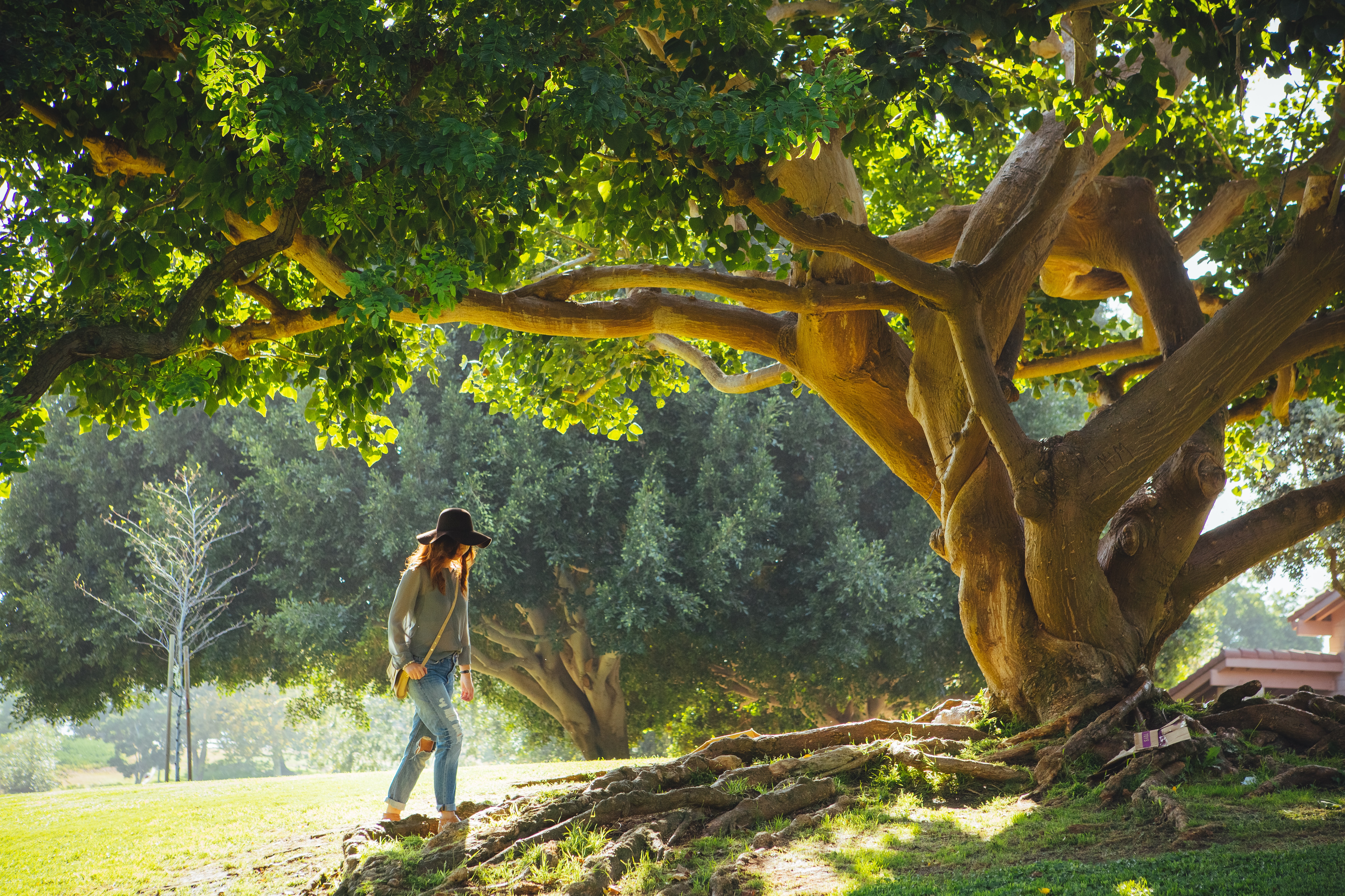 woman-under-tree