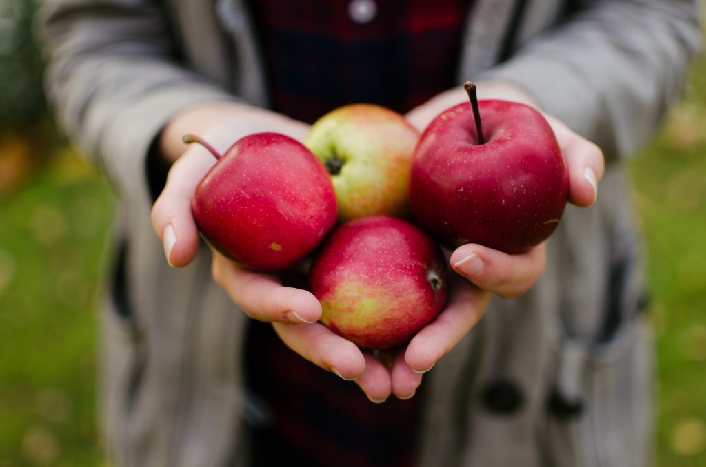 fall-red-apples