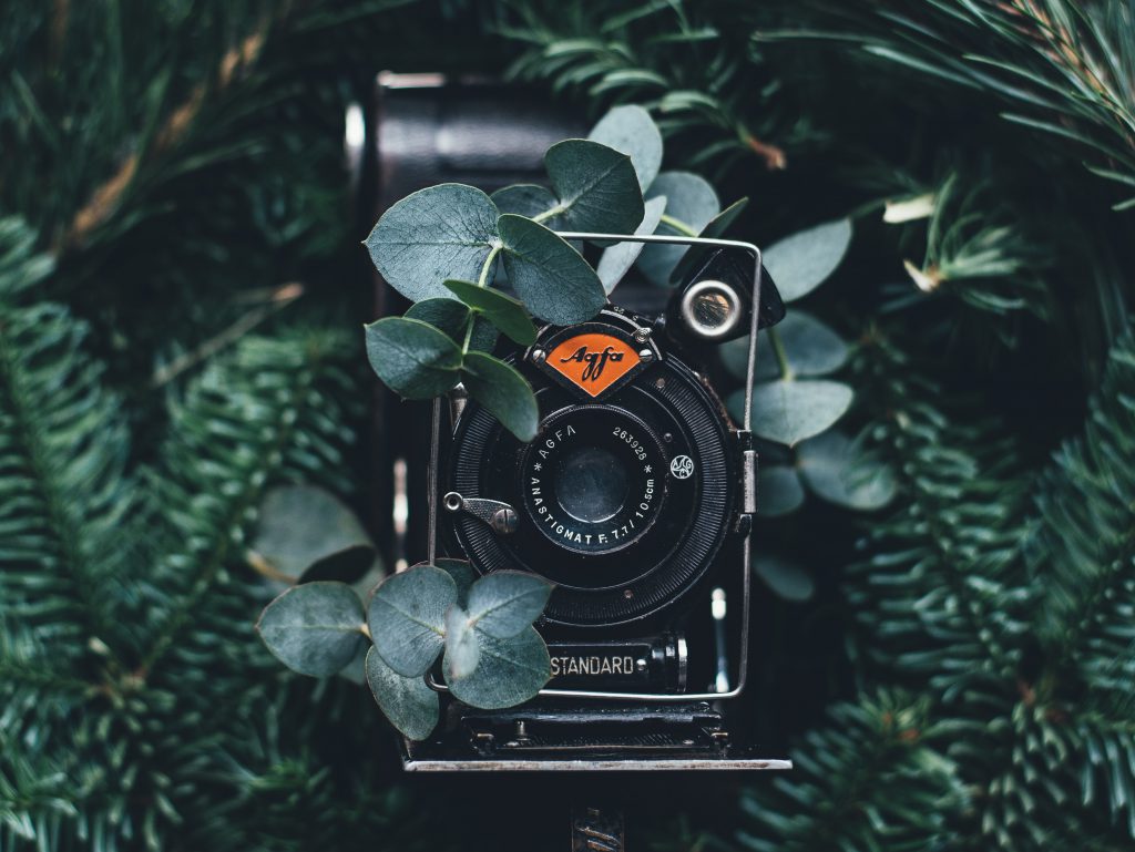 eco-conscious-photography