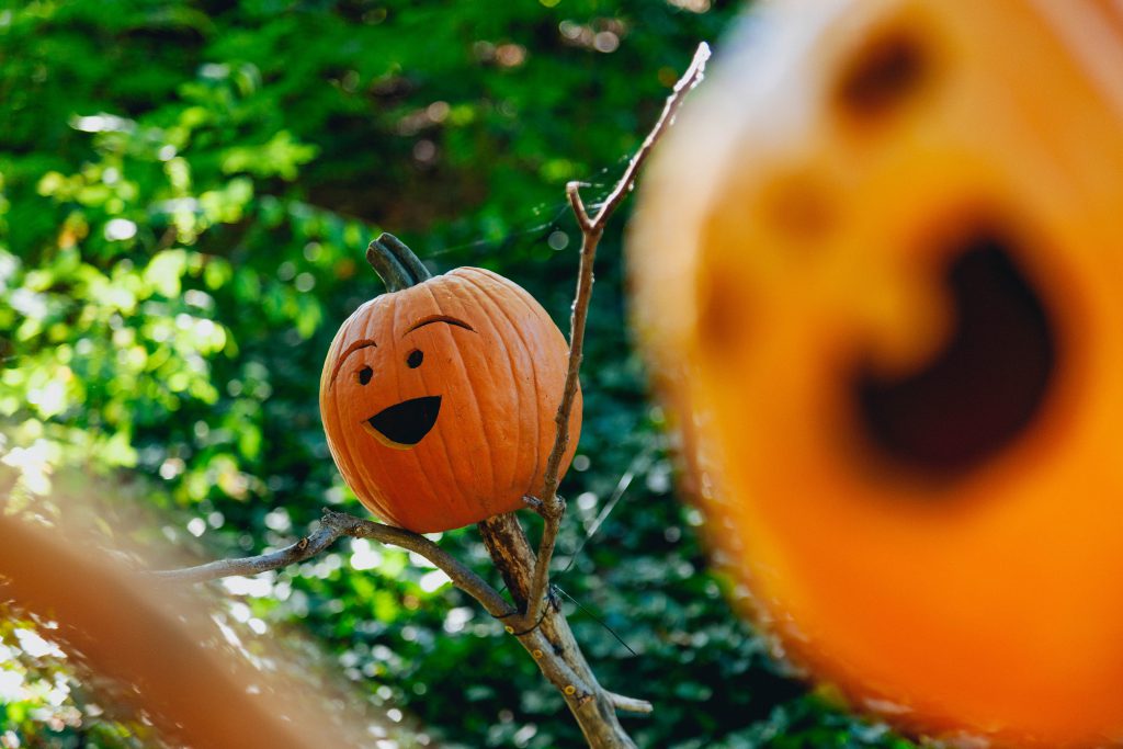 sustainable-halloween