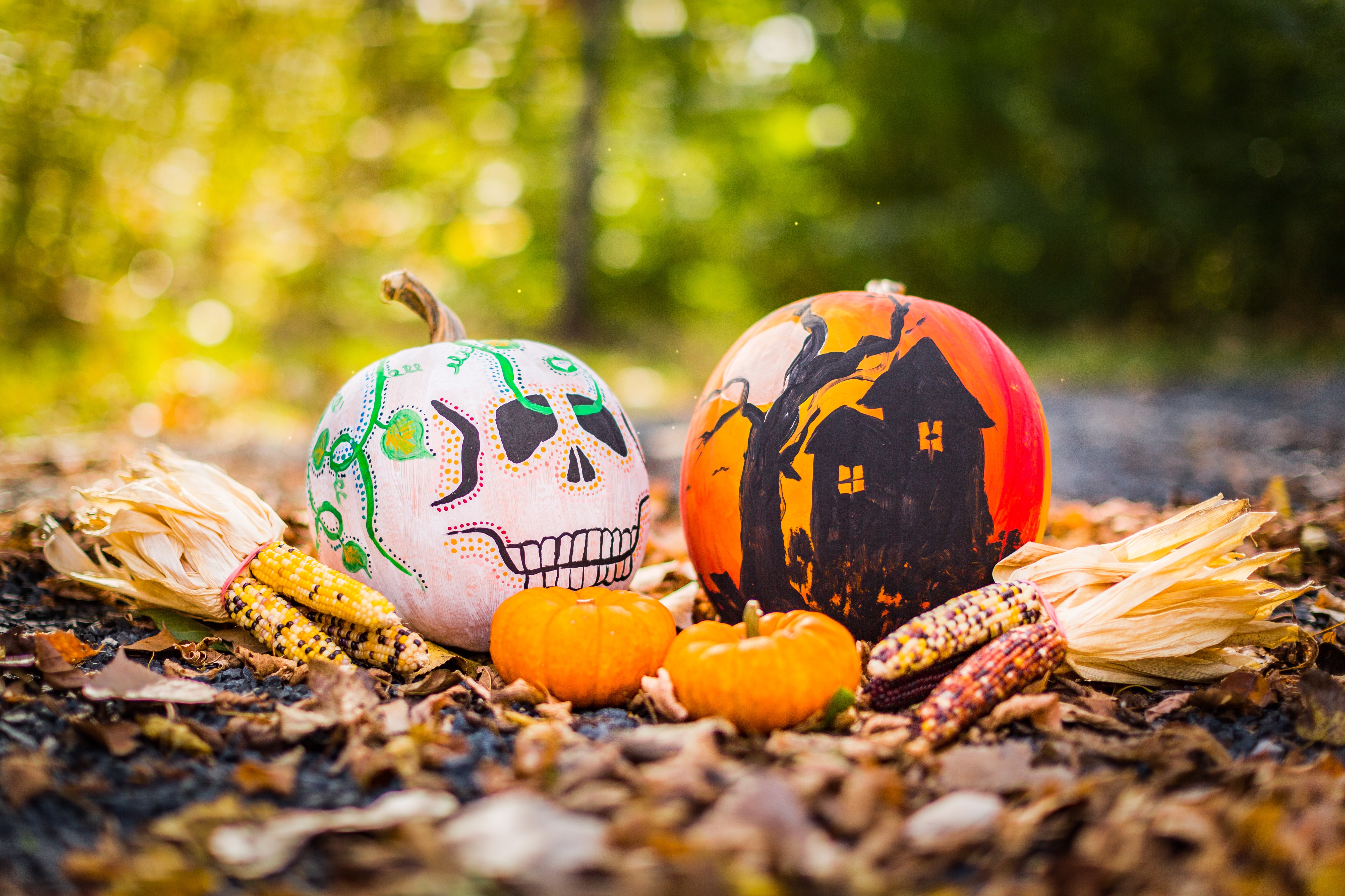 sustainable-sophisticated-halloween-decorations