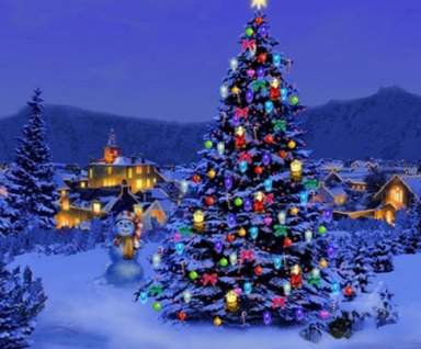 sustainable-holiday-tree