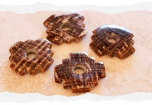 ammonite-chakana-broach