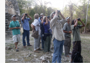 group-of-tourists-with-binoculars-birdwatching