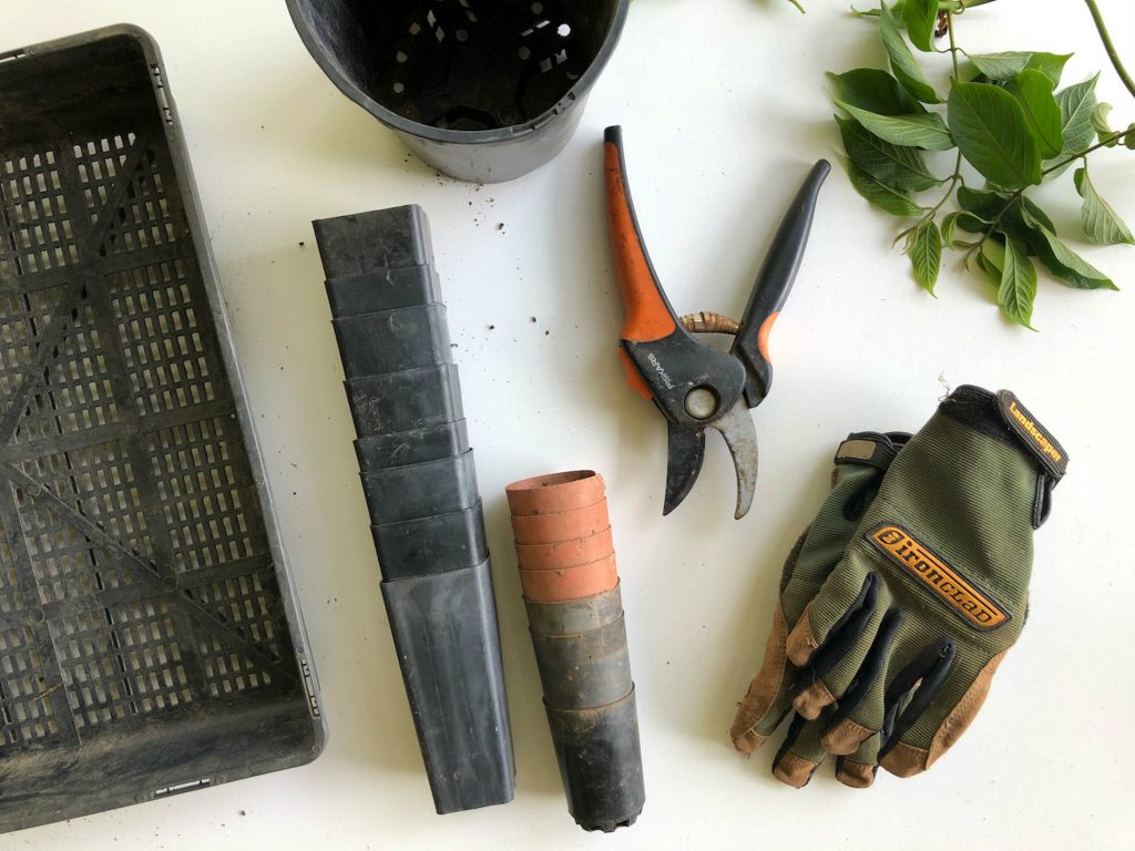 resolutions-for-greener-living