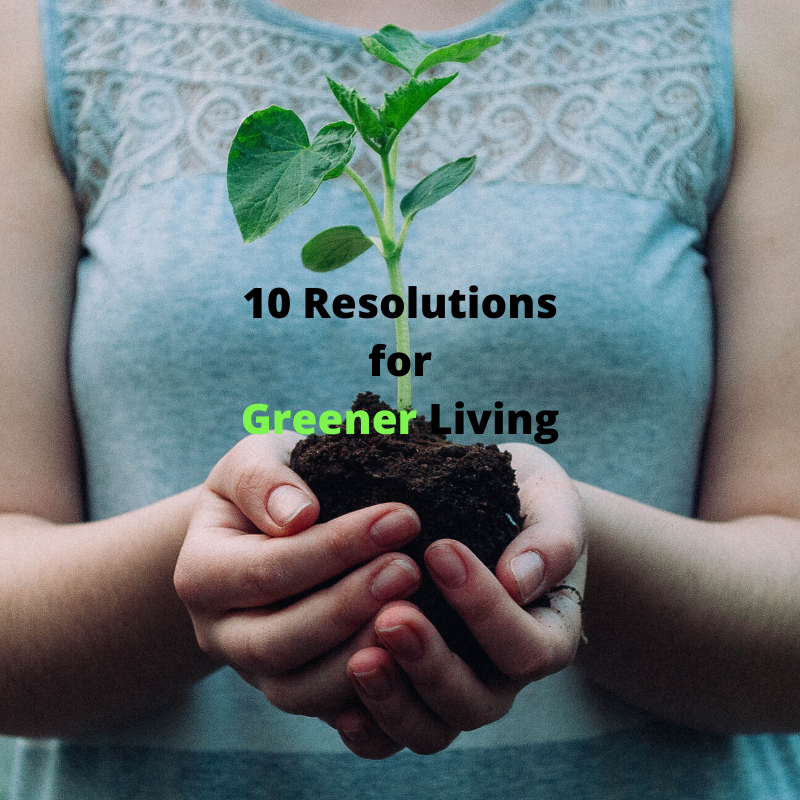 resolutions-for-greener-living