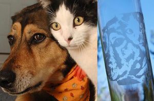 image-of-cat-and-dog-etched-onto-a-glass-bottle