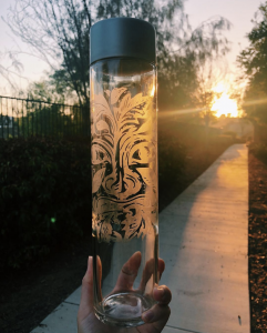 etching-bee-bottle-with-sunshine-revealing-plant-design