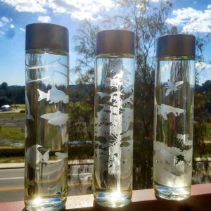 three-etching-bee-bottles-etched-with-trees-bees-fish
