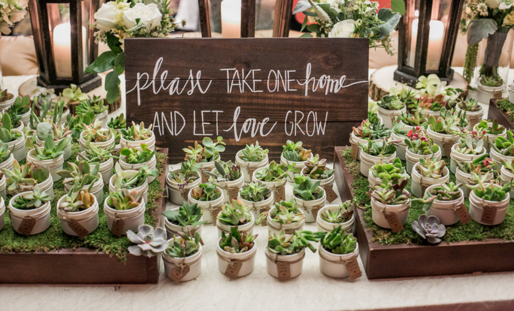 eco-wedding-favors