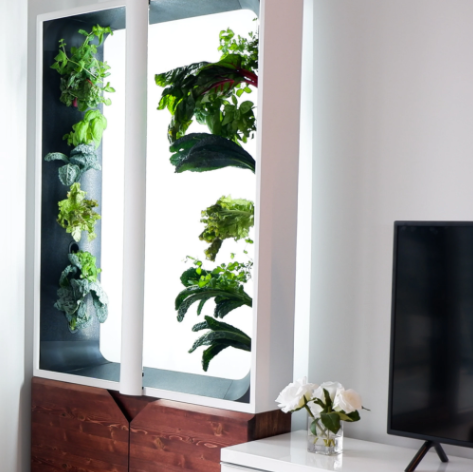 zero-waste-gardening