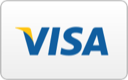 Visa Logo