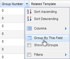 ProgramVersion_GroupByOption