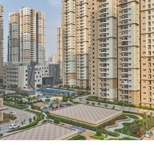 Prestige Evergreen