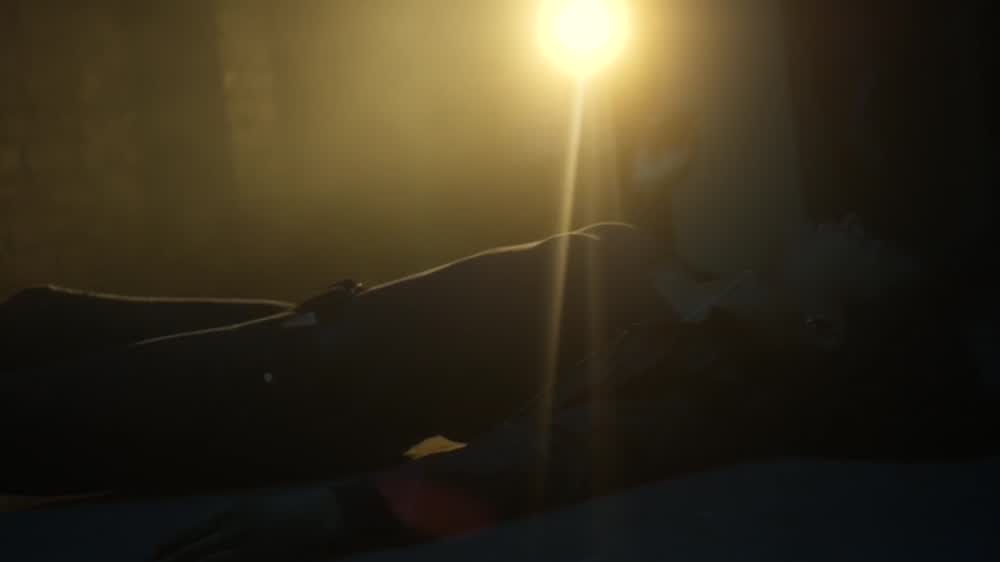 DAN ADAMS DIRECTORS REEL 2019