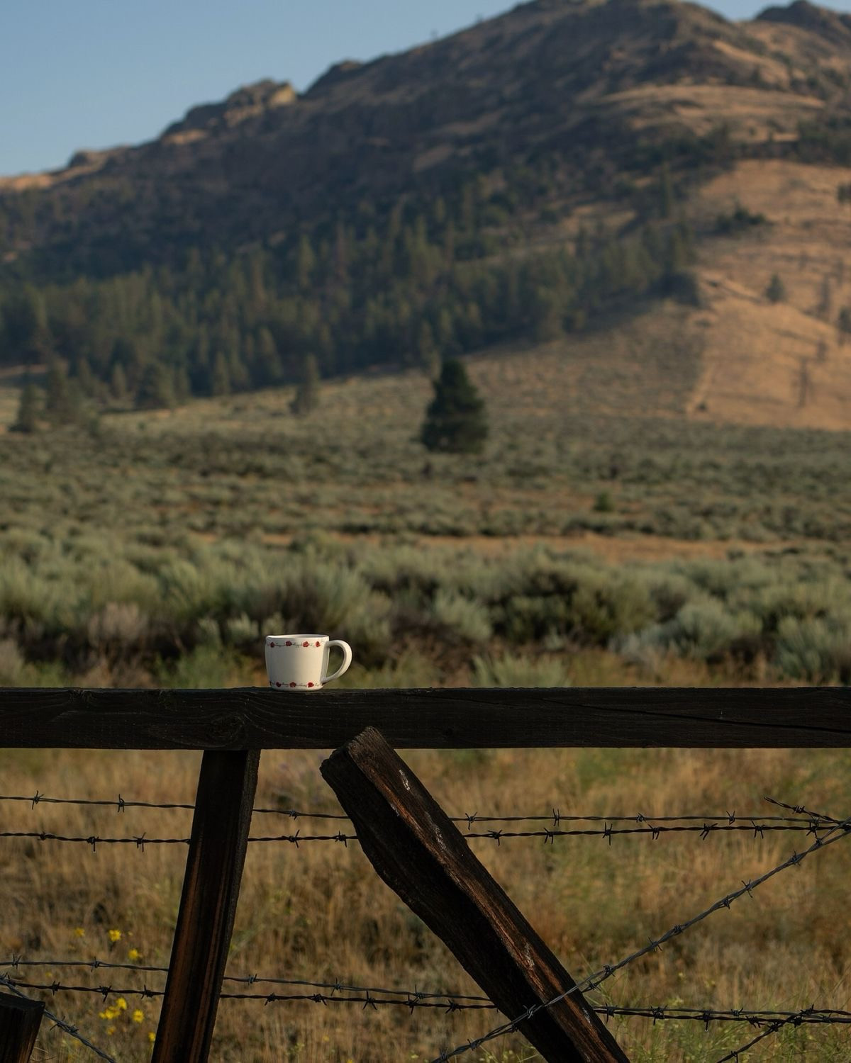 Understanding Cariboo Market Conditions