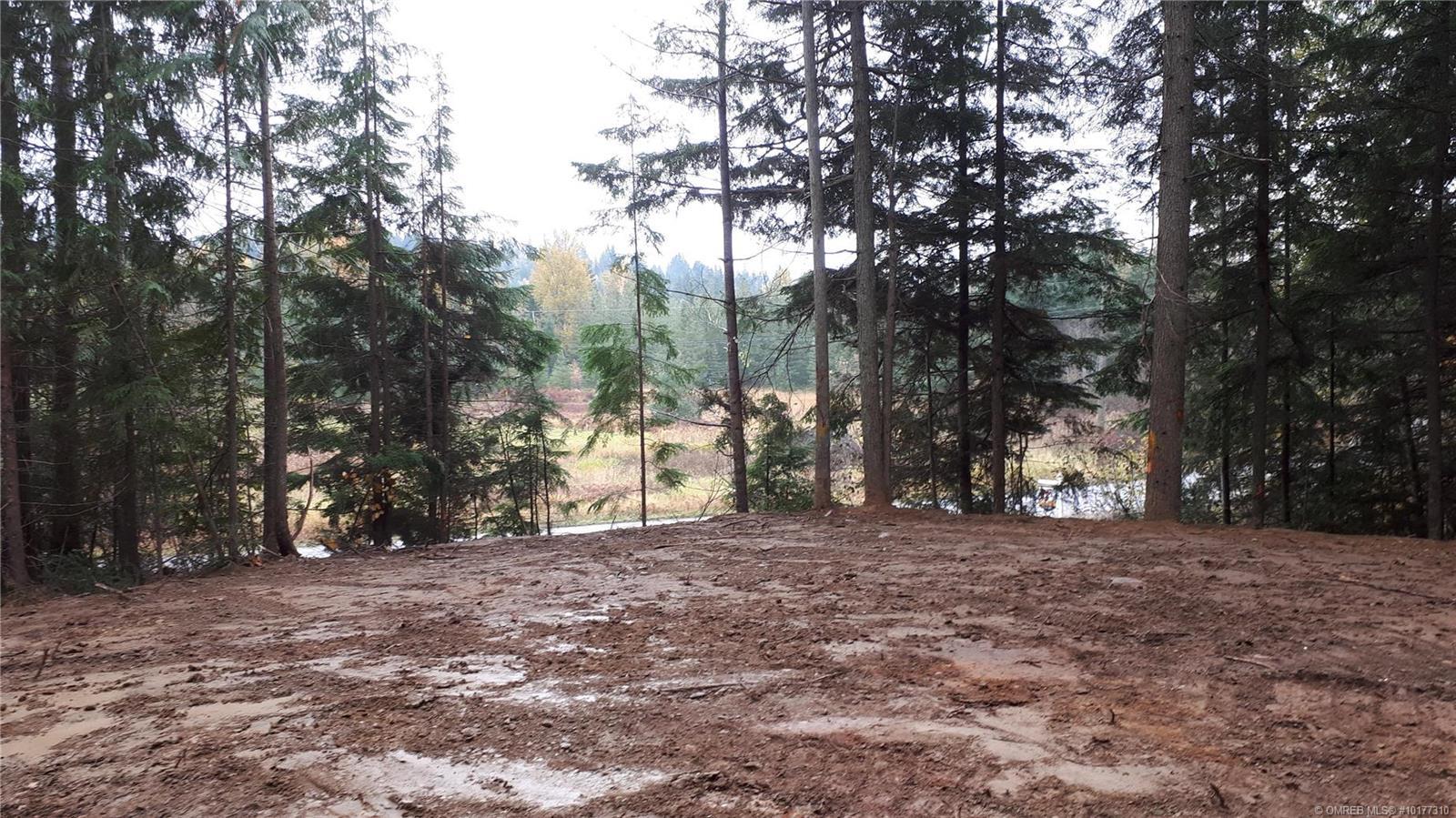 4978 Meadow Creek Road, Celista, BC, V1E 1M6 10177310 Cosens Team