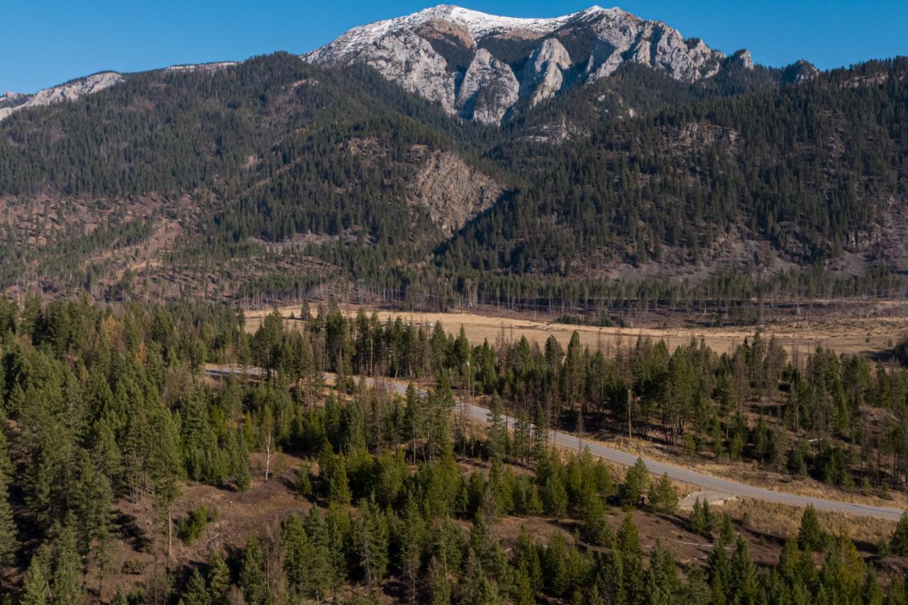 Lot 9 Burton Lake Estates Road, Elko, BC, V0B 1T3 2451303 RE/MAX