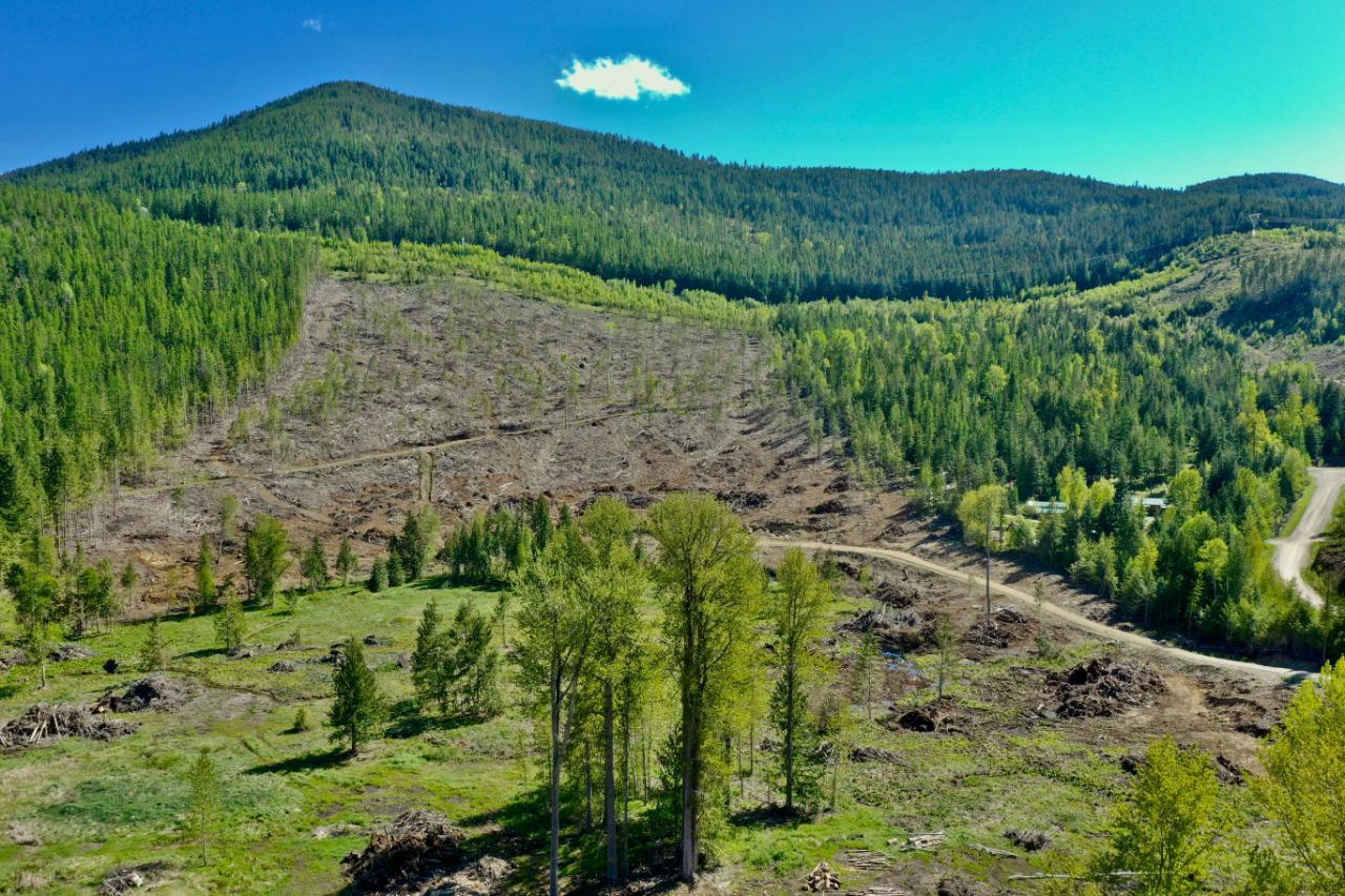 1097 Lakeview Arrow Creek Road, Arrow Creek, BC 2452849 RE/MAX Elk