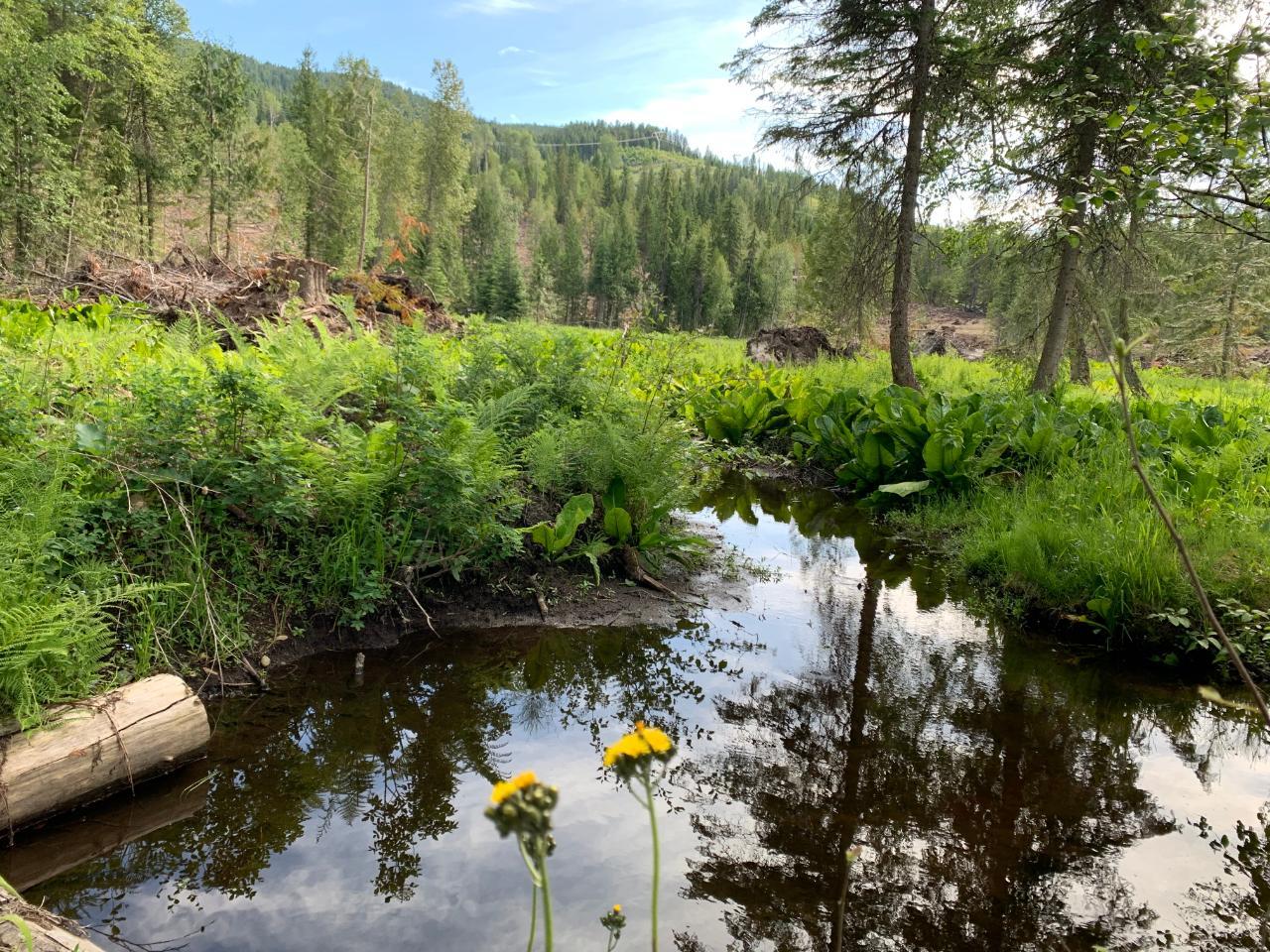 1097 Lakeview Arrow Creek Road, Arrow Creek, BC 2452849 RE/MAX Elk