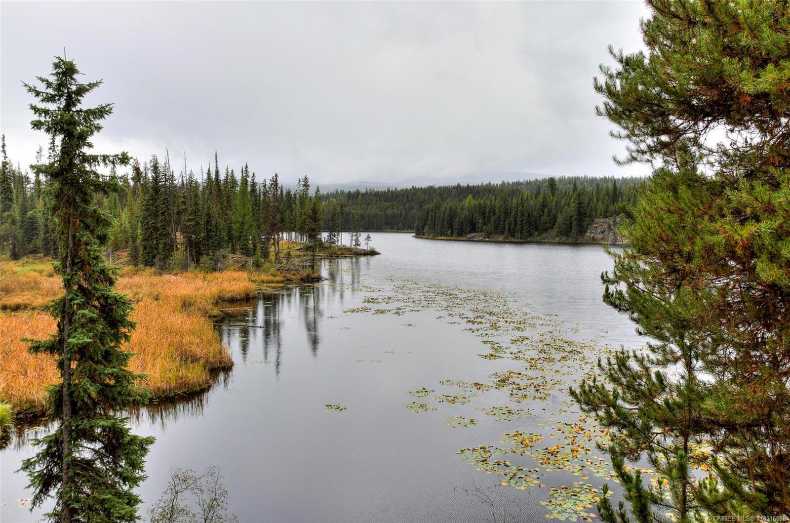 13 800 Idabel Lake Road, Kelowna, BC, V1P 1K4 10216898 The