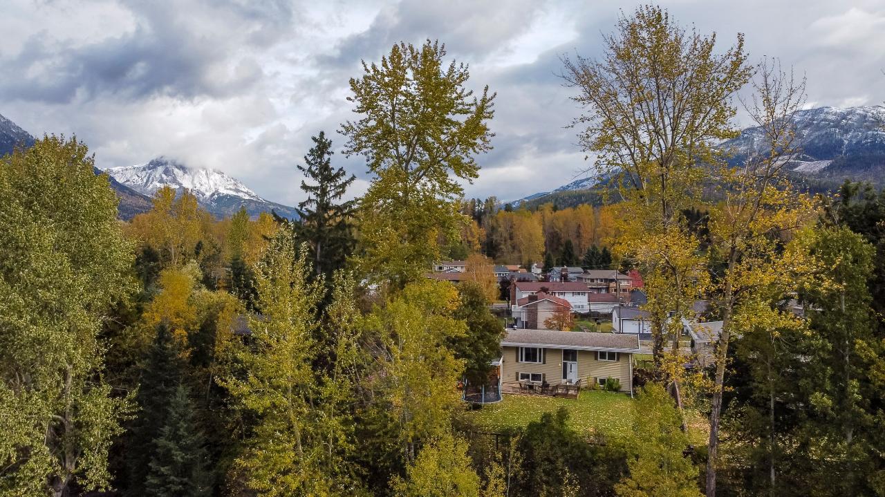 41 Elkview Drive, Fernie, BC 2455027 RE/MAX Elk Valley