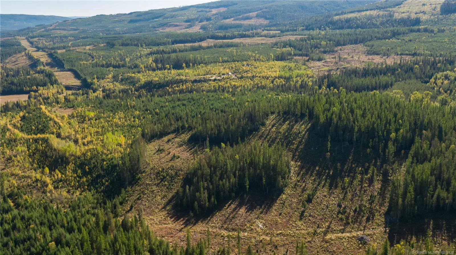 2310 Trinity Valley Road, Trinity Valley, BC 10218128 Cosens Team