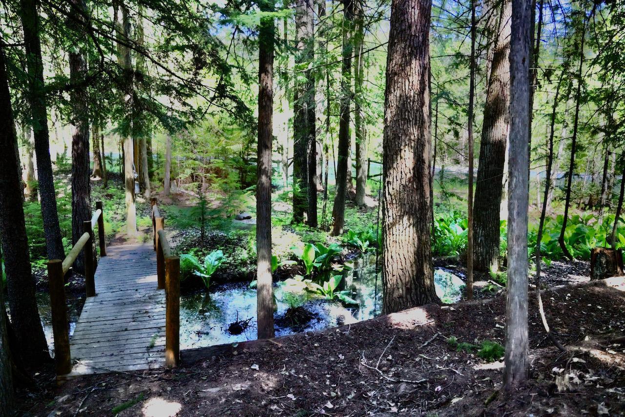 Lot 1 Lakeview Arrow Creek Road, Arrow Creek, BC 2455554 RE/MAX Elk