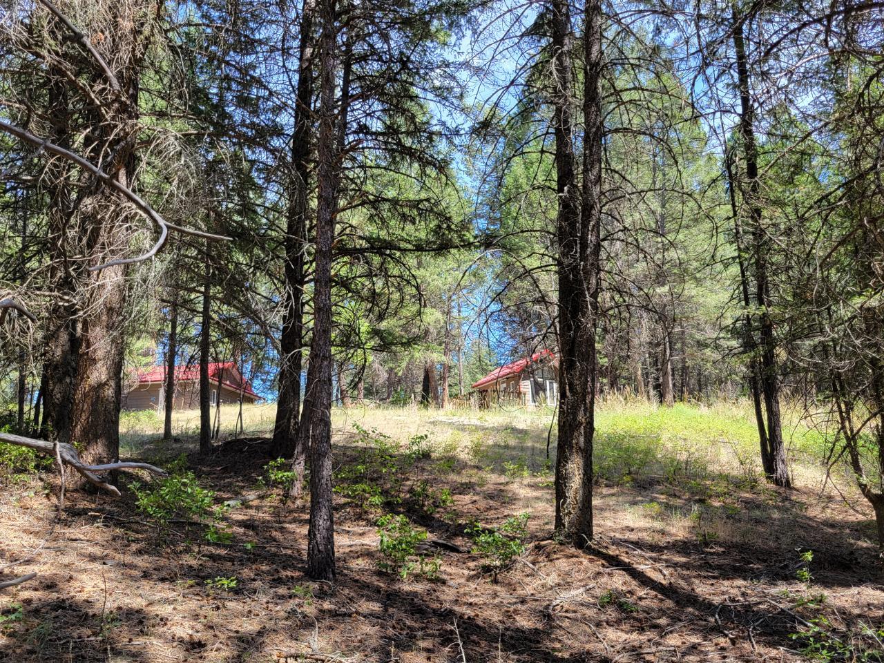 3306 Palmer Road, Baynes Lake, BC, V0B 1T4 2460151 RE/MAX Elk Valley