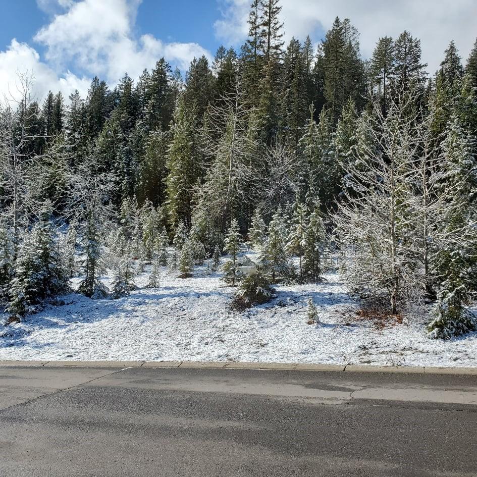 4 Driftwood Place, Elkford, BC, V0B 1H0 2461798 RE/MAX Elk Valley