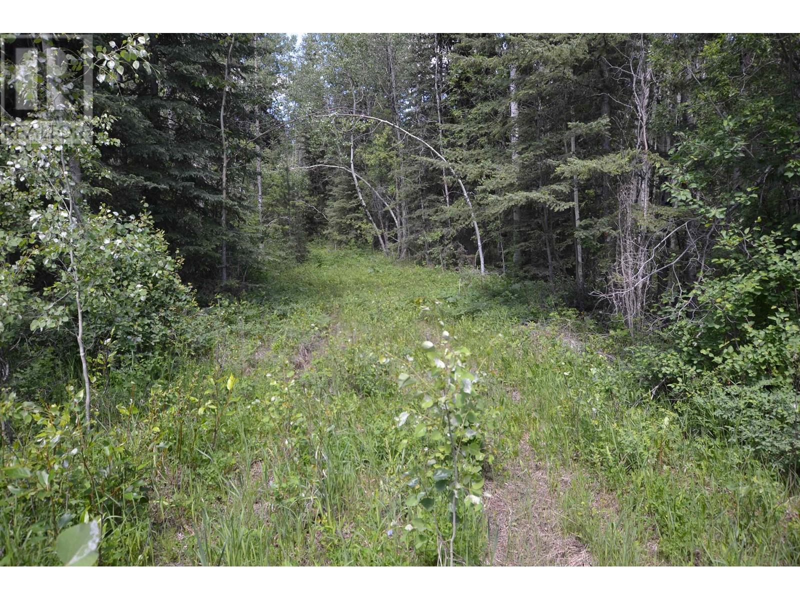 3791 Horsefly Road, Horsefly, BC, V0K 2G0 R2783399 Pauline Smith