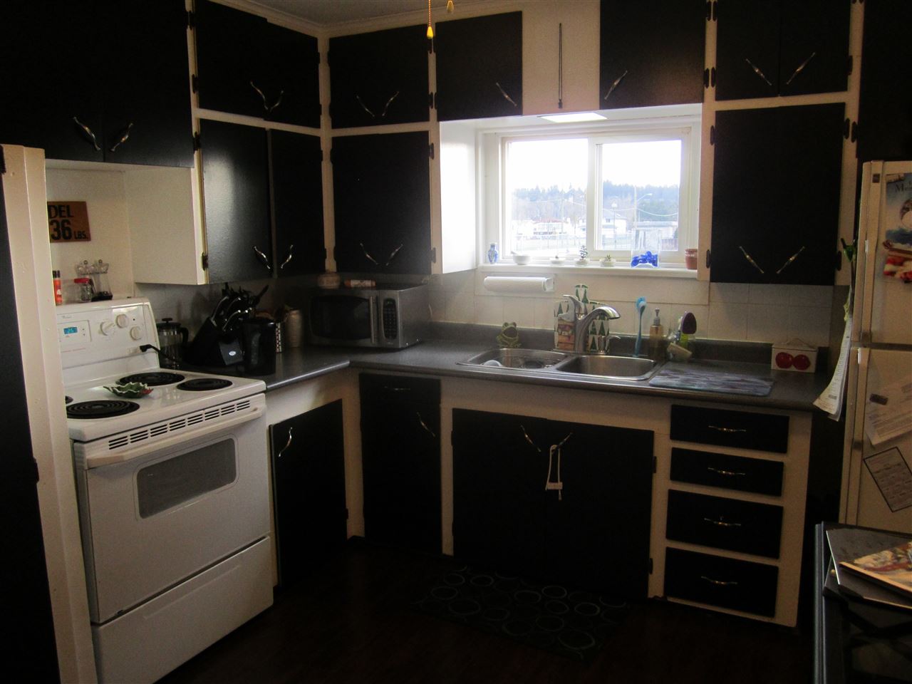 11503 125A Street, Surrey, BC, V3V 5A6 • R2031796 • Shawn ster