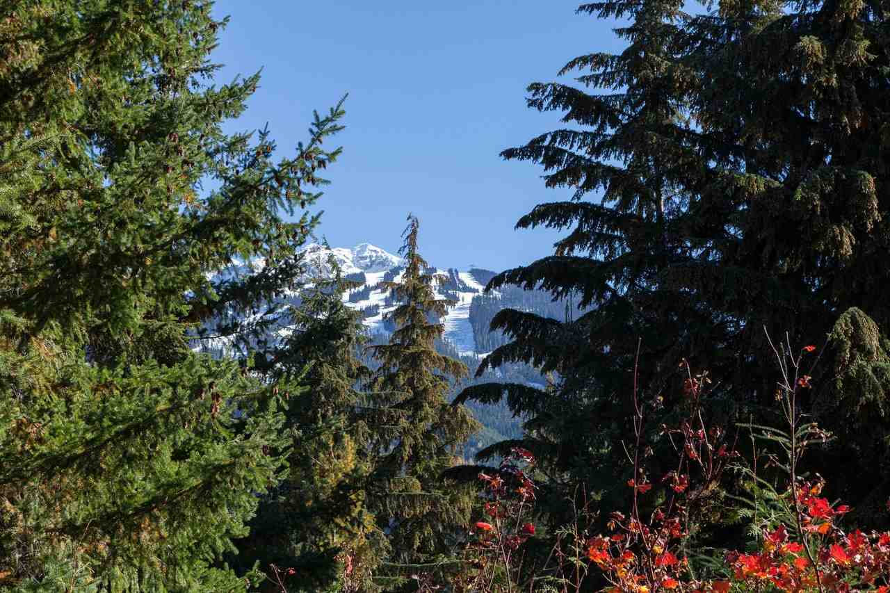 6357 Fairway Drive, Whistler, BC, V0N 1B6 • R2114802 • Brown