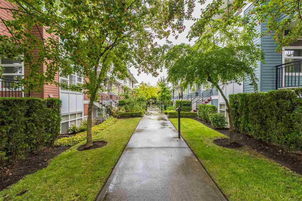 39 6528 Denbigh Avenue, Burnaby, BC, V5H 3R8 » R2205885 » The Key Agents
