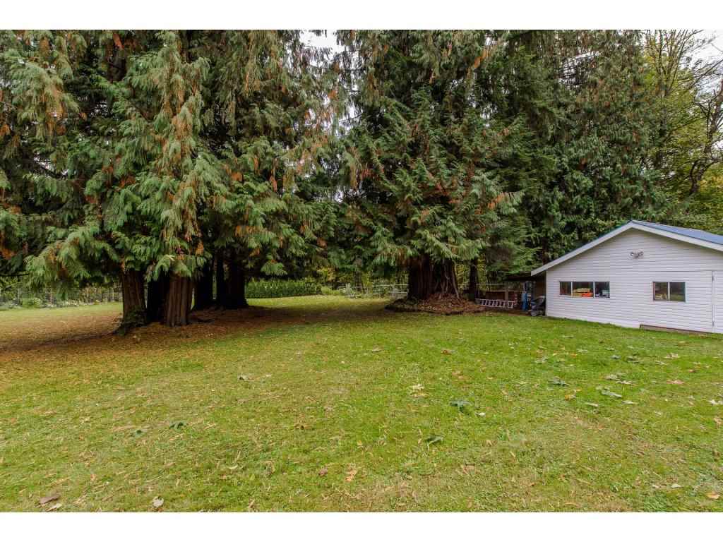 11 29605 McTavish Road Abbotsford BC V4X 2G3 R2225969 Mike 11-29605-mctavish-road-abbotsford-bc-v4x-2g3-r2225969-mike