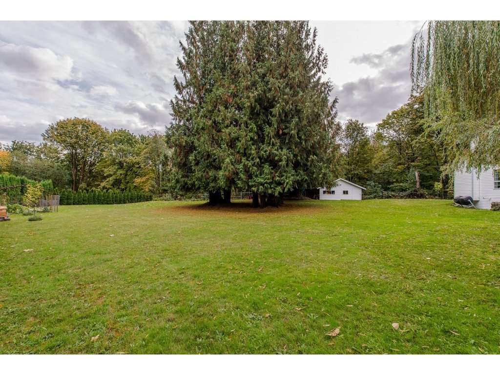 11 29605 McTavish Road Abbotsford BC V4X 2G3 R2225969 Mike 11-29605-mctavish-road-abbotsford-bc-v4x-2g3-r2225969-mike