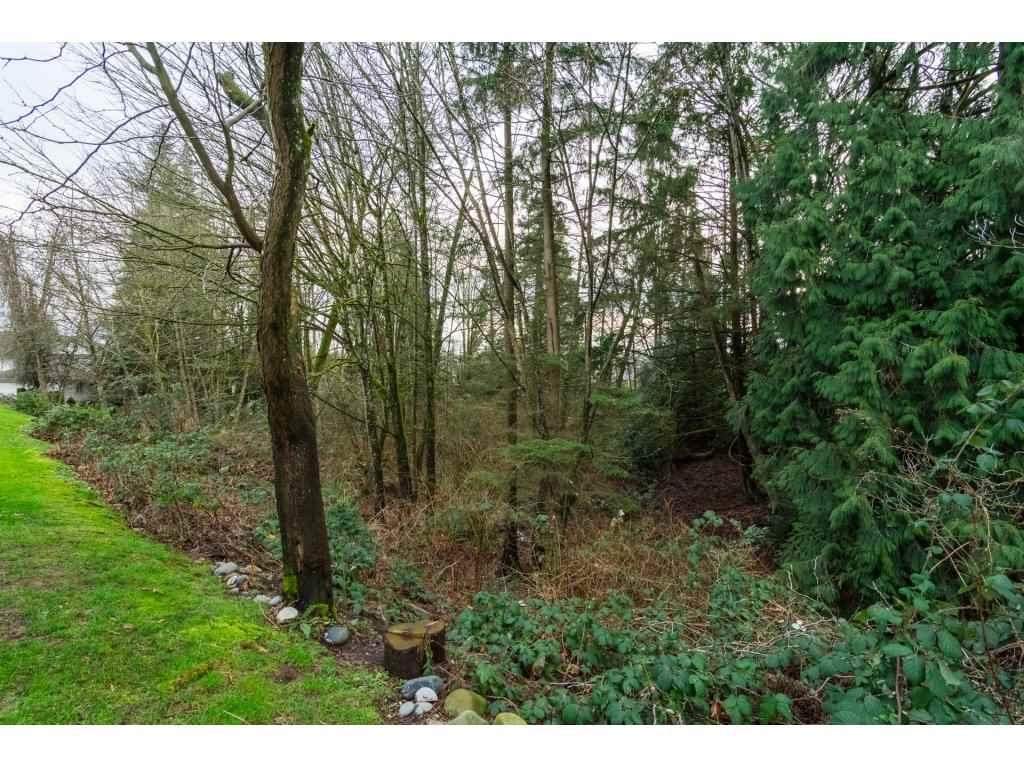 74 9045 Walnut Grove Drive, Langley, BC, V1M 2E1 R2235537 Angela